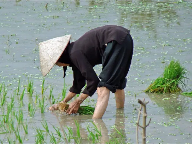 Harvesting Edibles in March: Tips and Tricks