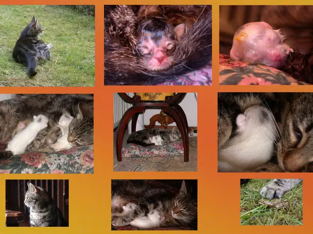 "It's remarkable how Pedro consistently uncovers unique connections in nature, as evidenced in his...