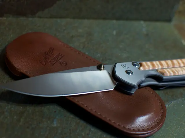 Selecting the Perfect Hunting Knife for Outdoor Excursions