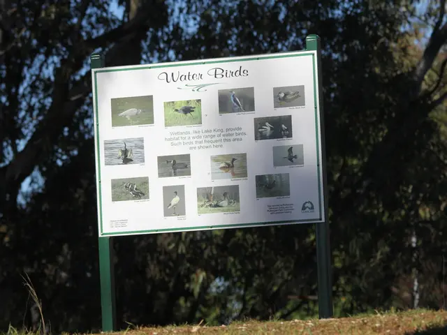 Outdoor Aviary Bliss: Isolated Avian Haven with an Edge