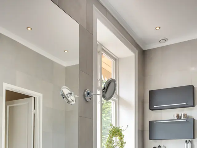 Avoid planting succulents in these five locations to prevent yellowing, wilting, and potential...