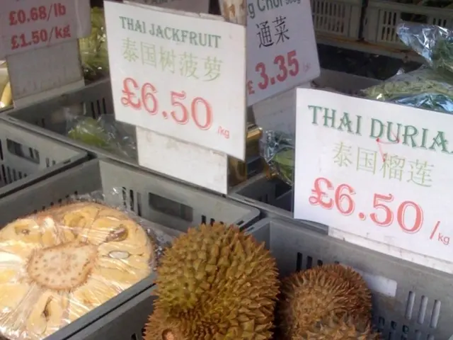 mytext: Mycelium Market projected to grow at a 6.9% annual rate until 2034