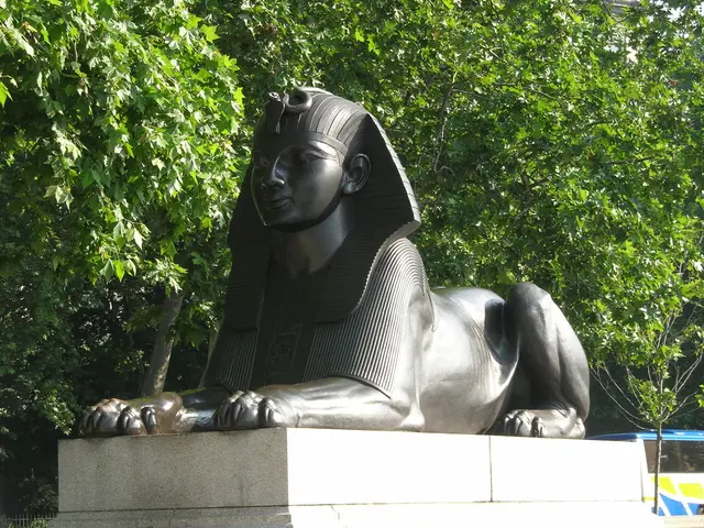 Human Tendency to Detect Faces Randomly Everywhere: Exploration of Pareidolia