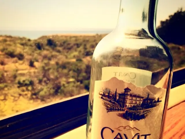 Creating Your Own Bottle Tree: A Step-by-Step Guide