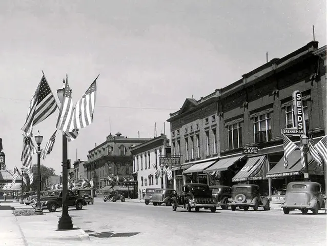 High-quality Collection: Over 10 Star Trail Images for Free Use in Your Projects