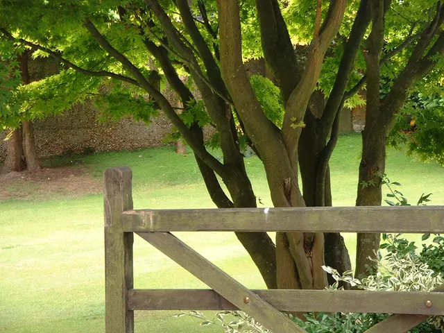 Solar Energy Systems: Evaluate Quotes from Four Providers (July 2025, 2kW Capacity)