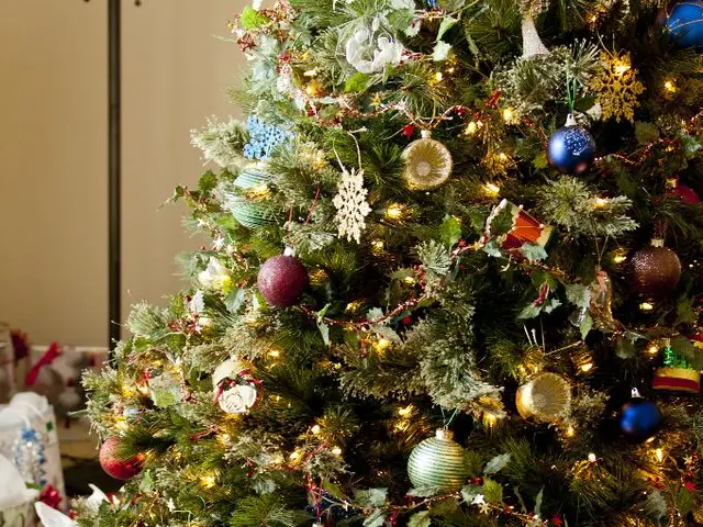 Incredible Gift Ideas for that Green-Fingered Friend