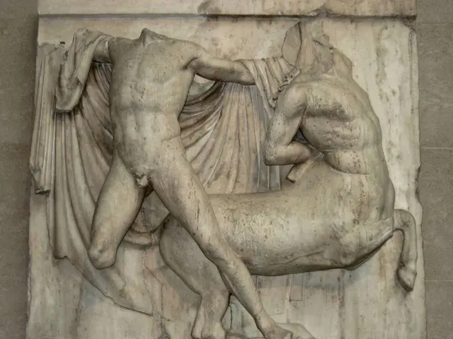 Fossils, shells, and marine life serve as inspiration for Shaha Raphael's limited collection at...