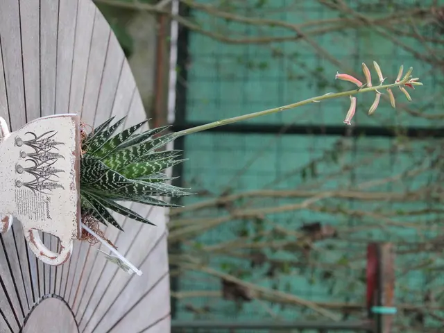 Pruning Bonsai for Structural Improvement: Shaping the Tree's Profile