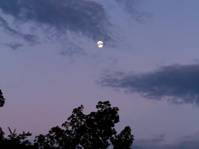Over a dozen images of lunar phases available for unrestricted use