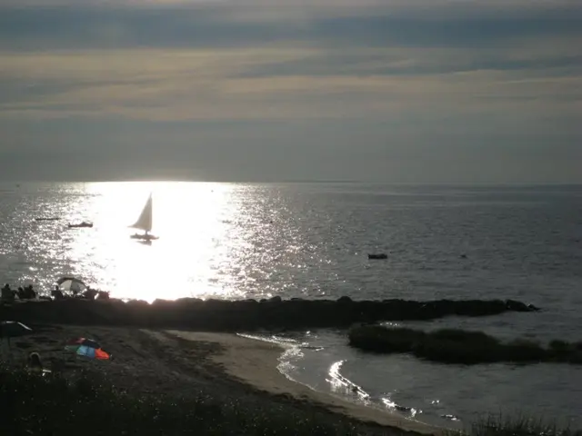 Driftwood Washing Ashore on a Dutch Beach Reveals Unopened Mail Packages Submerged at Sea for Two...