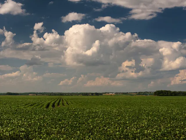 The Impact of Environmental Consciousness on Contemporary Cinema Creation