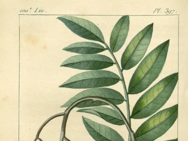 Gold Leaf Imprinting Session at Kinpaku Workshop