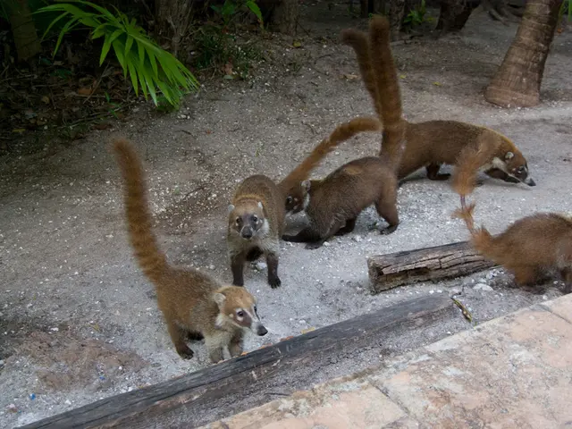 Global Nature Restoration Pledge: A Universal Effort to Rejuvenate, Safeguard, and Preserve the...