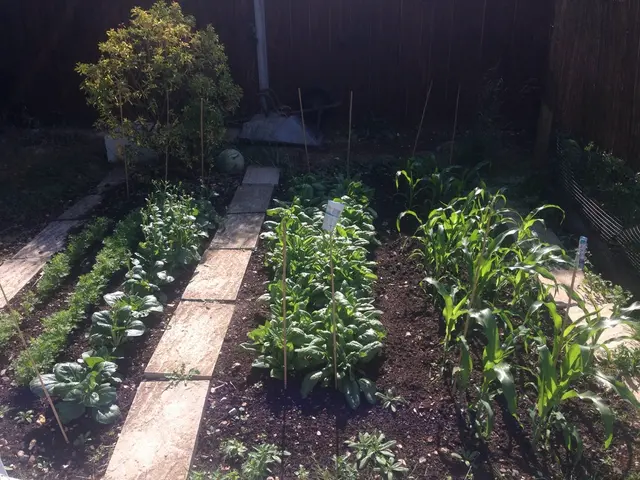 Comprehensive Guide on Planting Seeds: Everything You Need to Know About Seed Germination