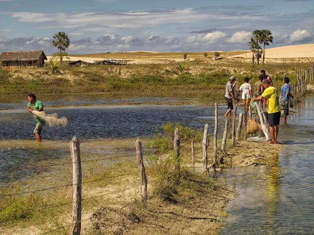 Elderly individuals cast lines and mingle during a sun-soaked fishing event at the hospital.