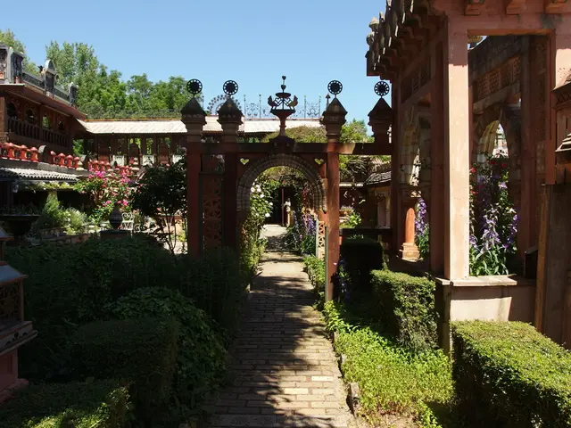 Fox and the Elm Tree: A Tale of Connection and Growth