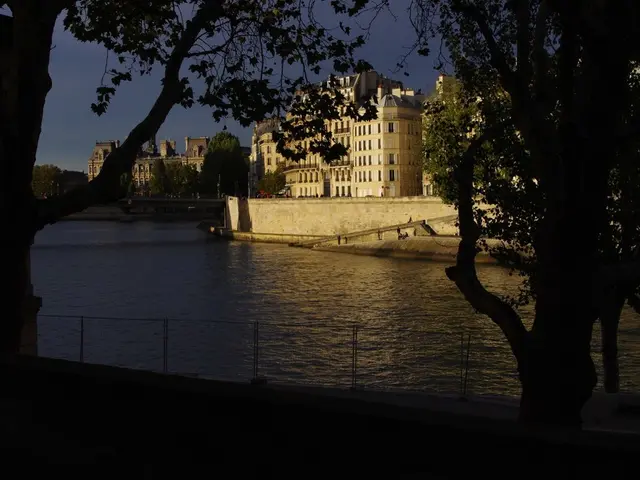 Encounter Polly Hicks, occupying the roles of Policy, Planning, and Communications Manager