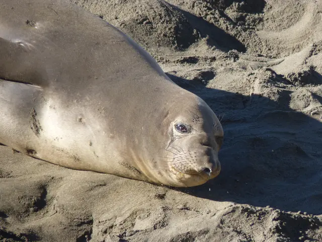 Sealing Driveways: Steering Clear of Typical Errors