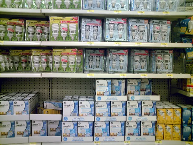 Comprehensive Handbook on Growing and Nurturing Hyacinths!