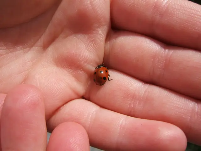 Cyclist Nearly Plunges into Canal Due to Jacket's Thumb Loops - Gladfully, Modern Biking Gear...