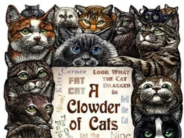 Unconventional Monicker for Raccoons: Humorous and Diverting Sobriquets