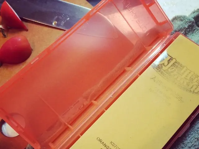 Straightforward Origami Feline Design with Minimal Creases