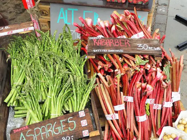 Incredible Evaluation of Eli & Elm Wharf Collection's sheets highlighted!