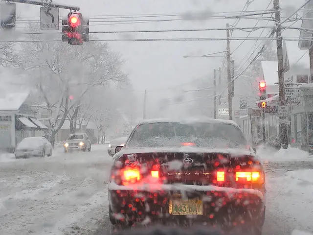 Costly driveway blunders experts caution may severely damage your property's curb appeal - and...