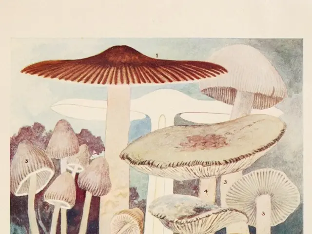 Learn the steps to create your own artistically crafted plant pots, inspired by the mastermind...