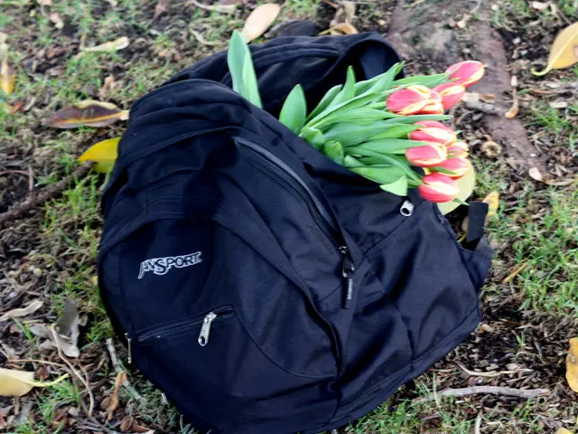 The Superiority of Grow Bags Over Plastic Containers for Cultivation