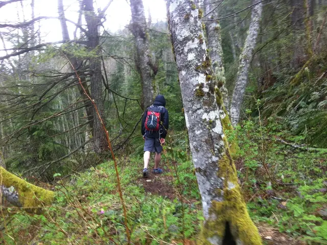 Exceptional bargain found! A significant discount of $55 on Fjällräven's lightweight, windproof...