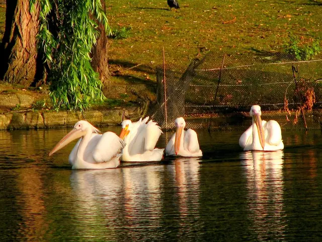 Hiking Path at Wakenitz Re-Opened