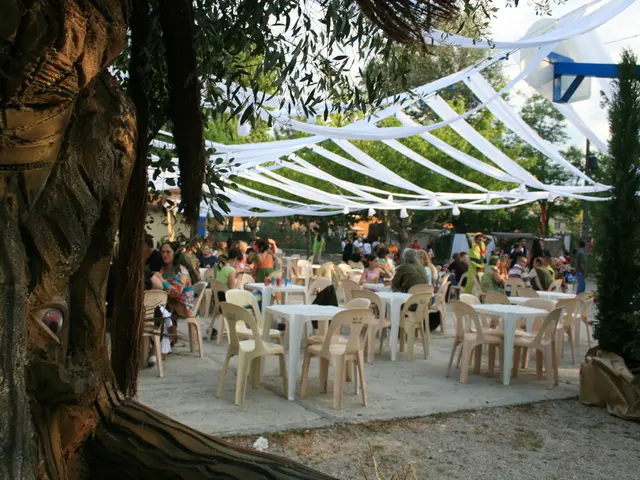 The surge of popularity for contemporary dining chairs in the year 2025 explained.