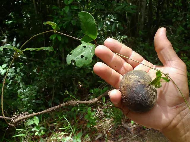 Efficient Garden Tools for Simplified Organic Cultivation