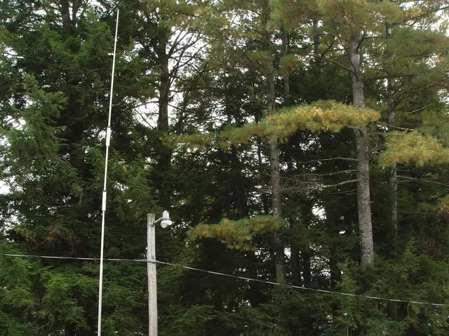 Offering a stylish design and ample storage space, the 2020 Adria Altea 622DK Avon proves to be a...