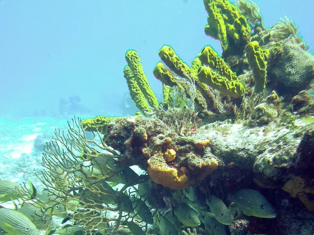 Unveiling Streams and Links – Edition 6