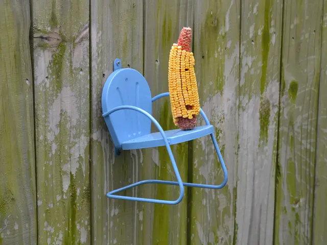 Maze constructed from colossal corn formation, artistic depiction of a bovine figure