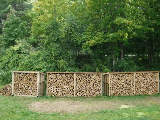 Instructions for Hedge Planting