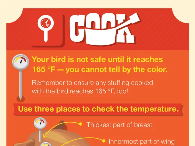 Safeguarding Your Chickens from Aerial Threats: A Guide