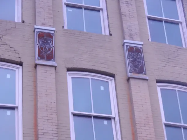 Transform Your Tomorrow: Crucial Guidelines for Window Replacement Service Providers