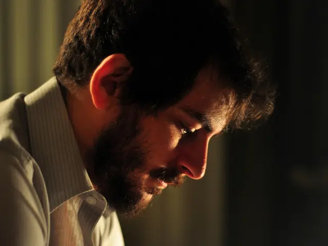 Modern Window Curtain Options to Explore: A Guide to Choosing Contemporary-Style Drapes for Your...