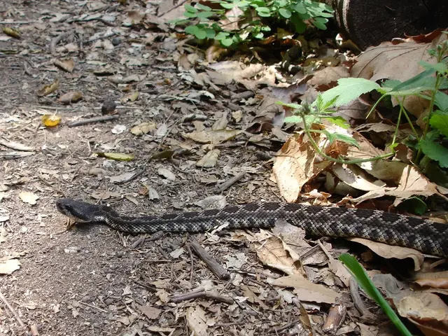 Methods for Preventing Snakes from Infiltrating Your Garden