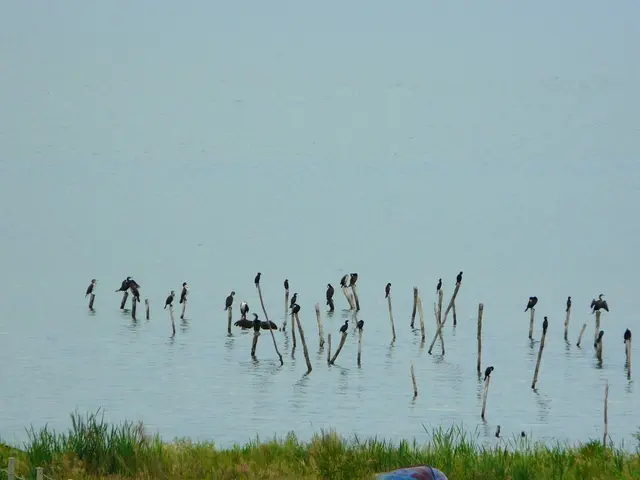 Farewell to Art Lander's Outdoors after 53 years of featuring Kentucky's pristine landscapes