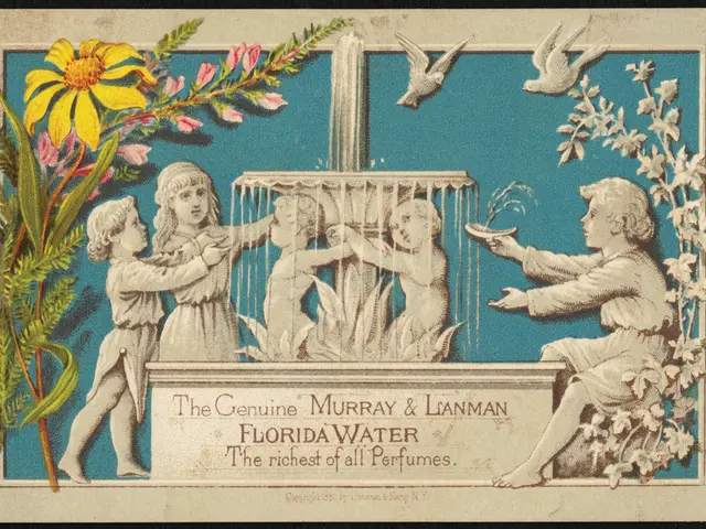 Exploring the Symbolic Impact of Water in Roma: A Depiction of Visual and Emotional Depth