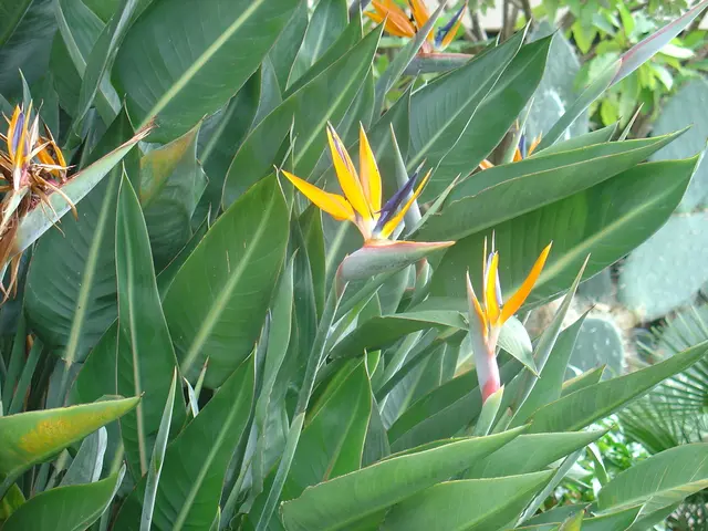 Enhance Your Front Yard's Charm with 7 Easily Manageable Plants - Improve Curb Appeal with Minimal...