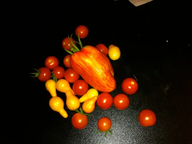 August's Ripe Picks: Identify the Ripeness Signs and Proper Harvest Techniques for 7 Fruits