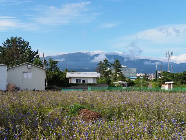 Energy Efficiency and Budget Reduction through Rooftop Power Stations on Balconies
