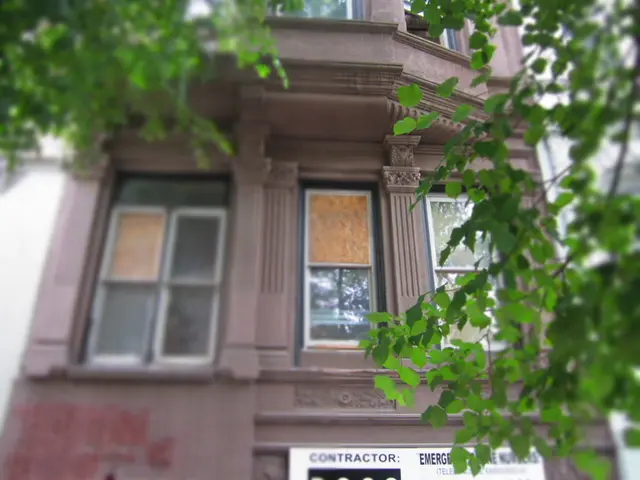 Timber company Miro in Africa secures funding from socially responsible investors