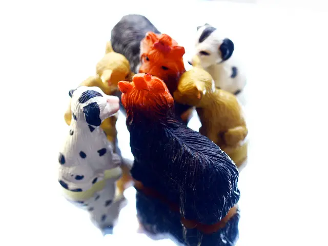 Generous Collection of 24 Chill Gifts Ideal for Every Child You need to Buy Presents For